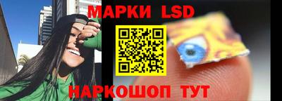 прущие грибы Бердск