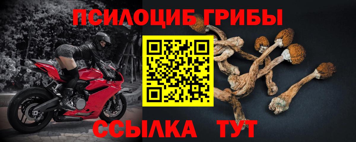 Псилоцибиновые грибы мухоморы  Галлюциногенные грибы GOLDEN TEACHER  где найти   Владивосток  Вход с VPN 