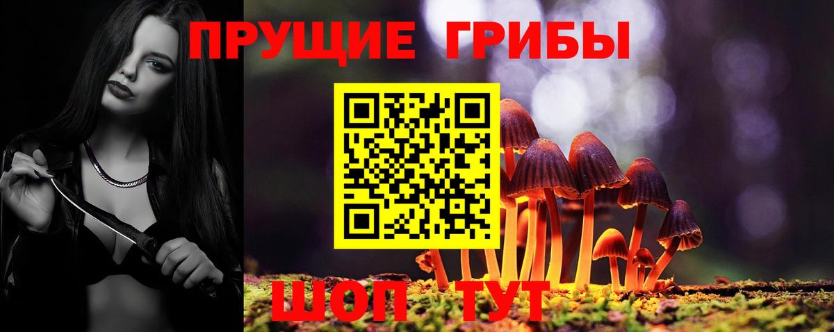 Псилоцибиновые грибы Psilocybe Владивосток